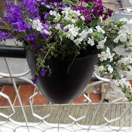 Interno 1 Roma Luxury Con Balcone *