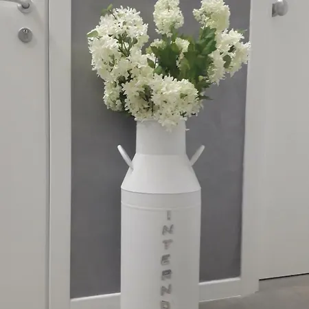 Interno 1 Roma Luxury Appartamento Ciampino